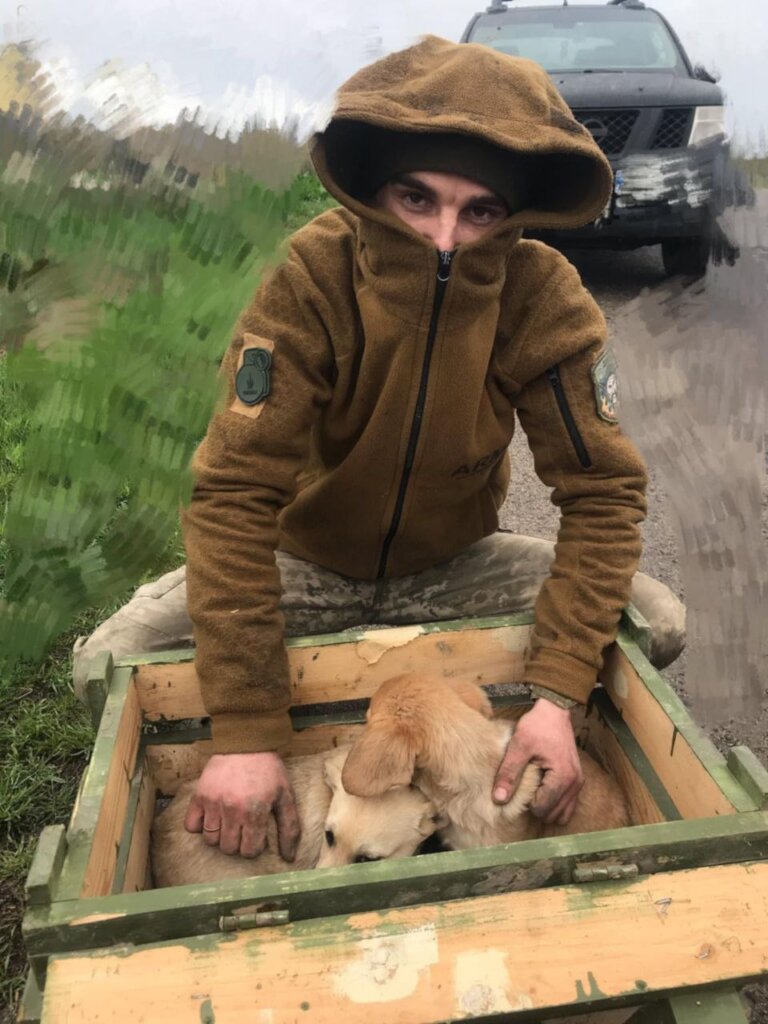 Treat 500 Animals on Ukraine's Frontline