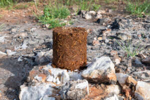 Chili Candle to Deter Elephants