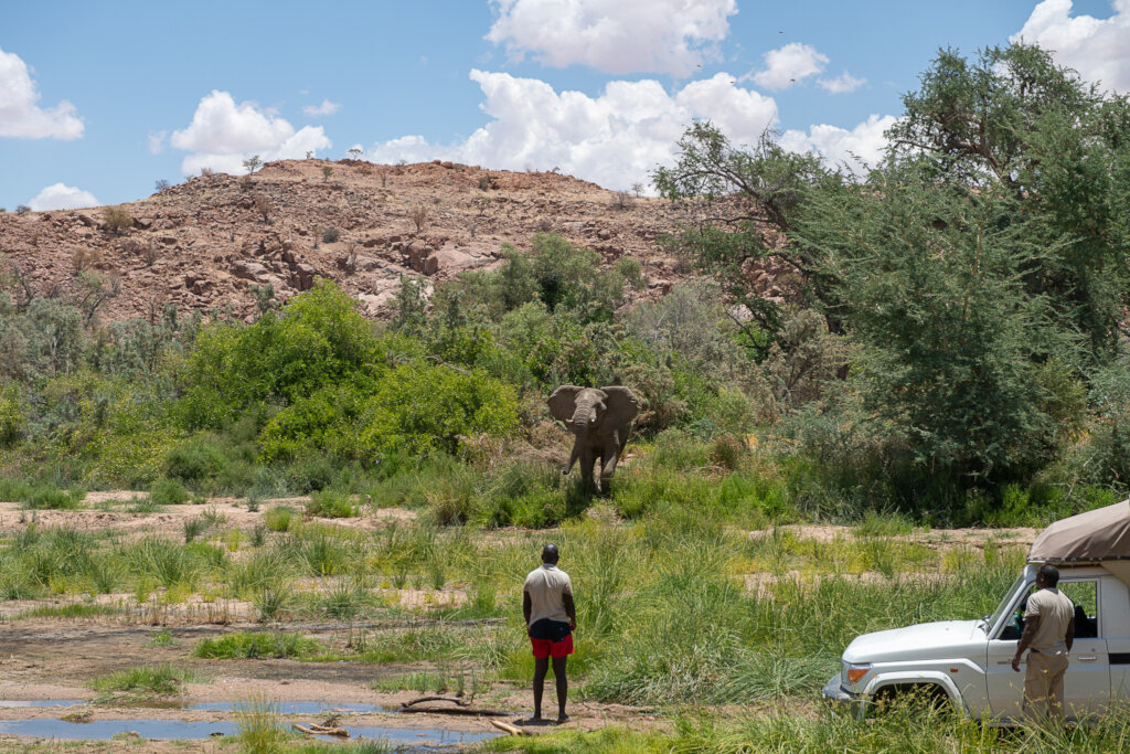 Help Communities and Elephants Coexist