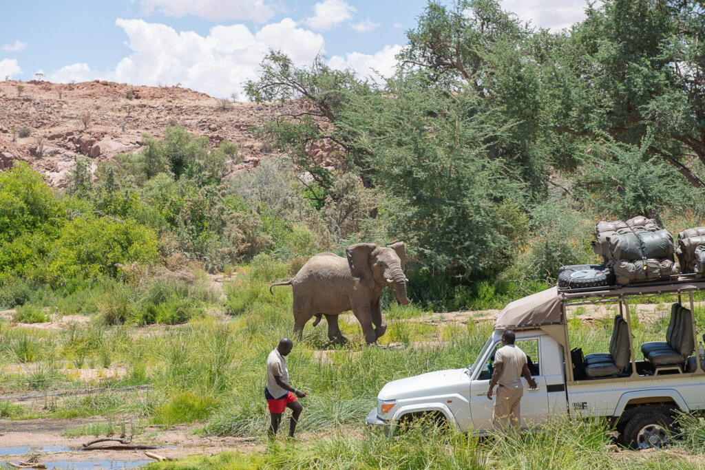 Help Communities and Elephants Coexist