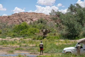 Rangers Managing Human-Elephant Encounters