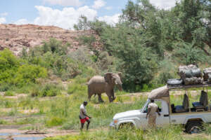 On the Front Line of Conservation