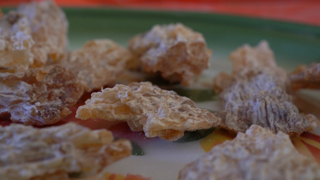 Help Keep Somali Frankincense Forests Alive