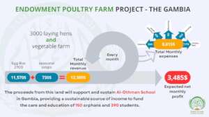Feasibility Study Infograph