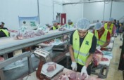 Share Eid Blessing- Qurbani for Refugees in Egypt