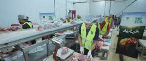 Share Eid Blessing- Qurbani for Refugees in Egypt