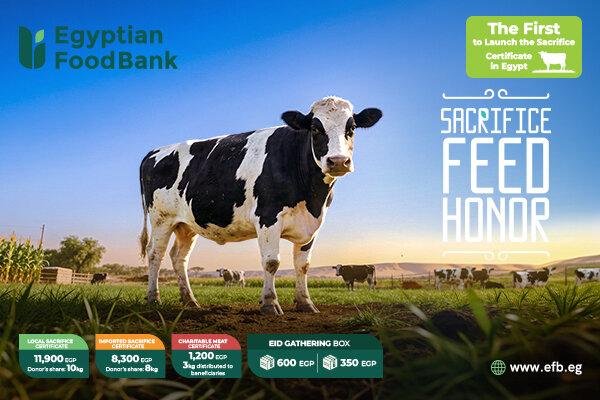 Egyptian Food Bank-Odheya 2026