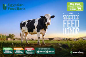 Egyptian Food Bank-Odheya 2026