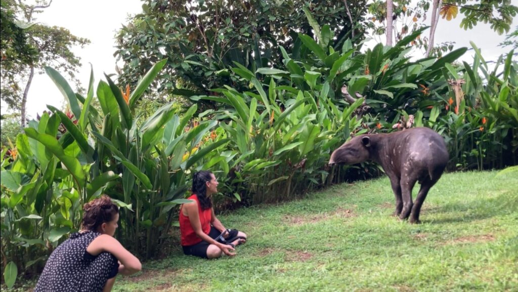 Living with Pumas and Tapirs in Costa Rica