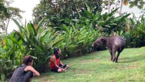 Wildlife as an Opportunity