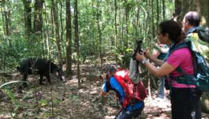 From Hunting to Guiding
