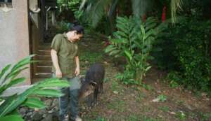 Living Side by Side with Tapirs