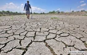 Disaster Relief,Climate Resilience& Food Security