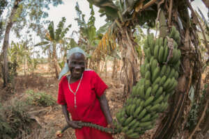 Farming