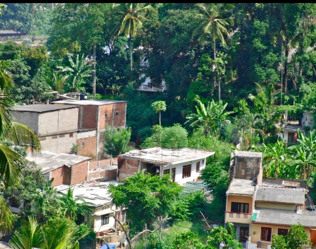 Emergency Relief & Food Security Support Program