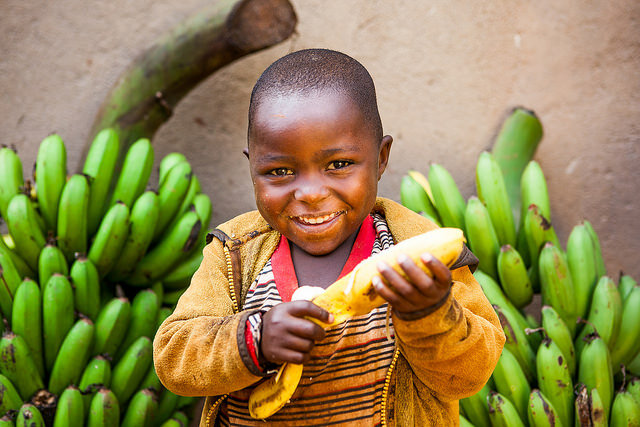 Emergency Food Relief &Sustainable Farming Support