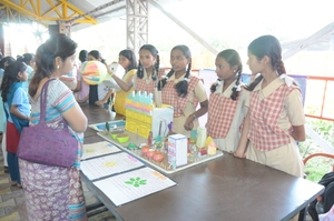 Science project display