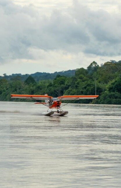 Help us to save orangutans in Borneo (Indonesia)