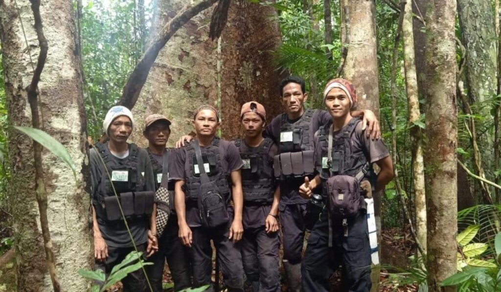 Help us to save orangutans in Borneo (Indonesia)