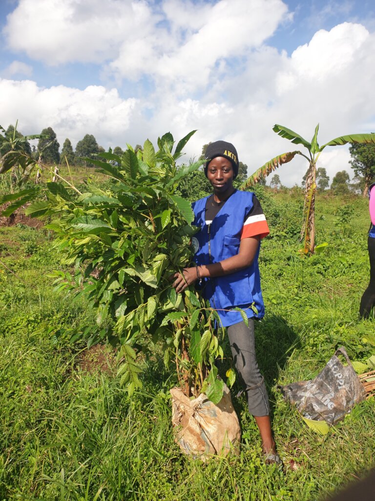 Mendankwe community tree donation and planting
