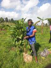 Mendankwe community tree donation and planting