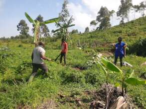 Together, Empower communities and grow hope