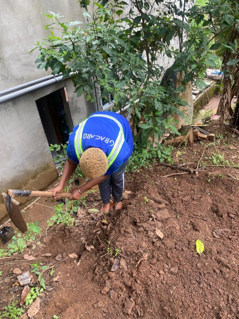 Creating Space to grow more trees