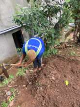 Creating Space to grow more trees
