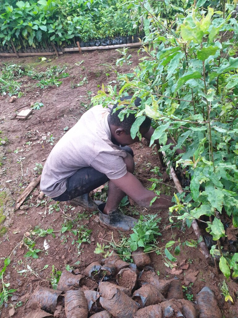 Green Futures for 500 Women/Youths in North West