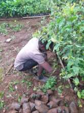 Youth Empowerment and climate change