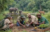 Protect Wildlife Habitats in Ghana Communities
