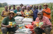 Support 200 Farmers with Improved Seeds