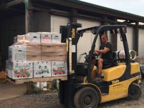 Movers helping to transport food from the farm
