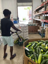 Cucumbers, kept fresh thanks to cold storage