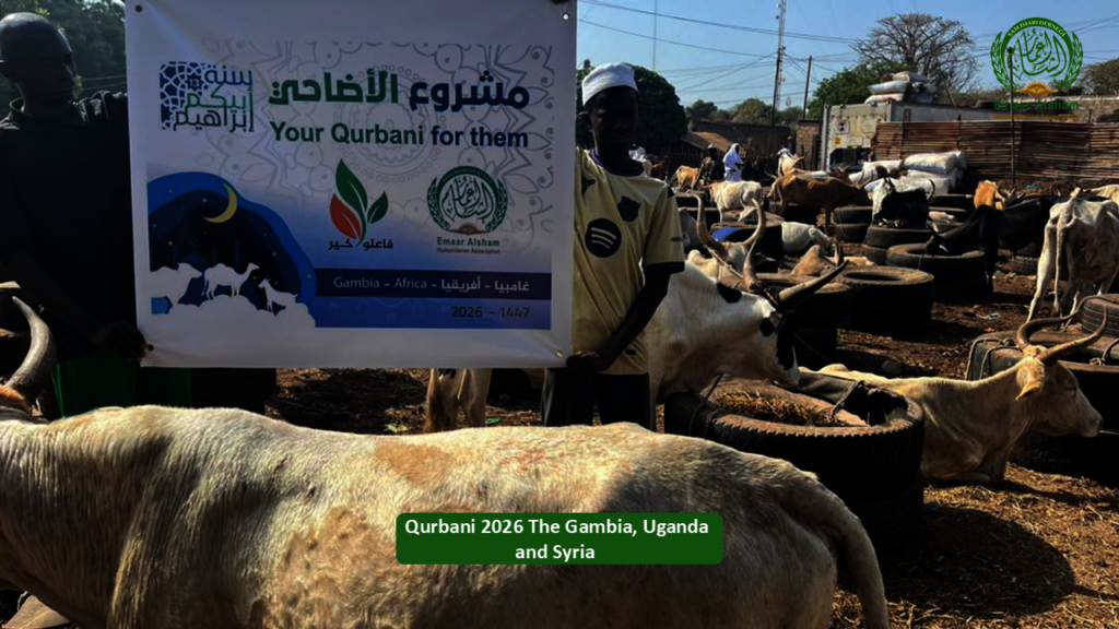 Share the Joy of Qurbani 2026 - Feed Thousands