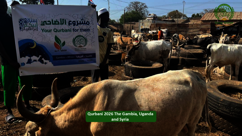 Share the Joy of Qurbani 2026 - Feed Thousands