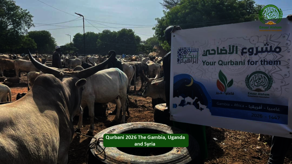 Share the Joy of Qurbani 2026 - Feed Thousands