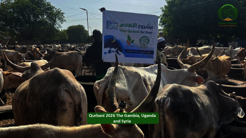 Share the Joy of Qurbani 2026 - Feed Thousands