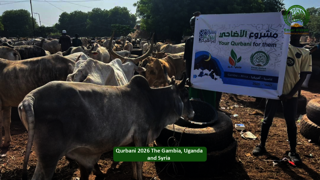Share the Joy of Qurbani 2026 - Feed Thousands