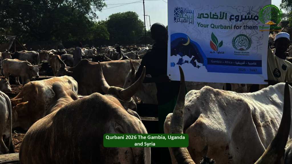 Share the Joy of Qurbani 2026 - Feed Thousands