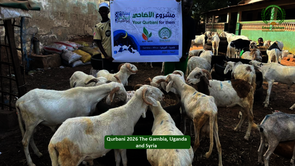 Share the Joy of Qurbani 2026 - Feed Thousands