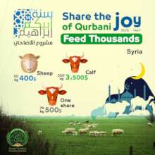 Marketing Card - Syria