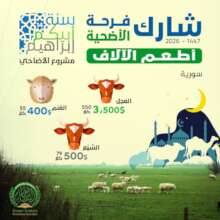 Marketing Card - Syria