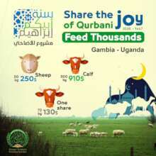 Marketing Card - Gambia and Uganda