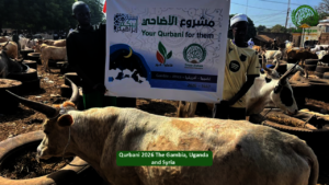 Share the Joy of Qurbani 2026 - Feed Thousands