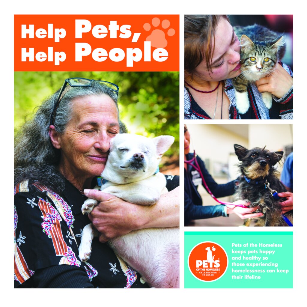 Feeding Pets of the Homeless Documentary
