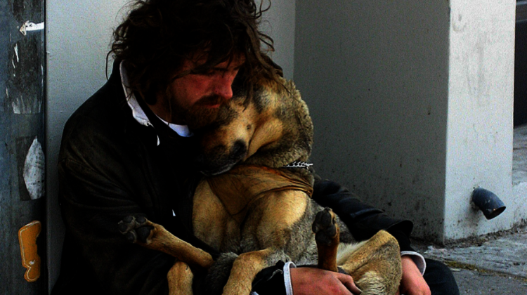 Feeding Pets of the Homeless Documentary