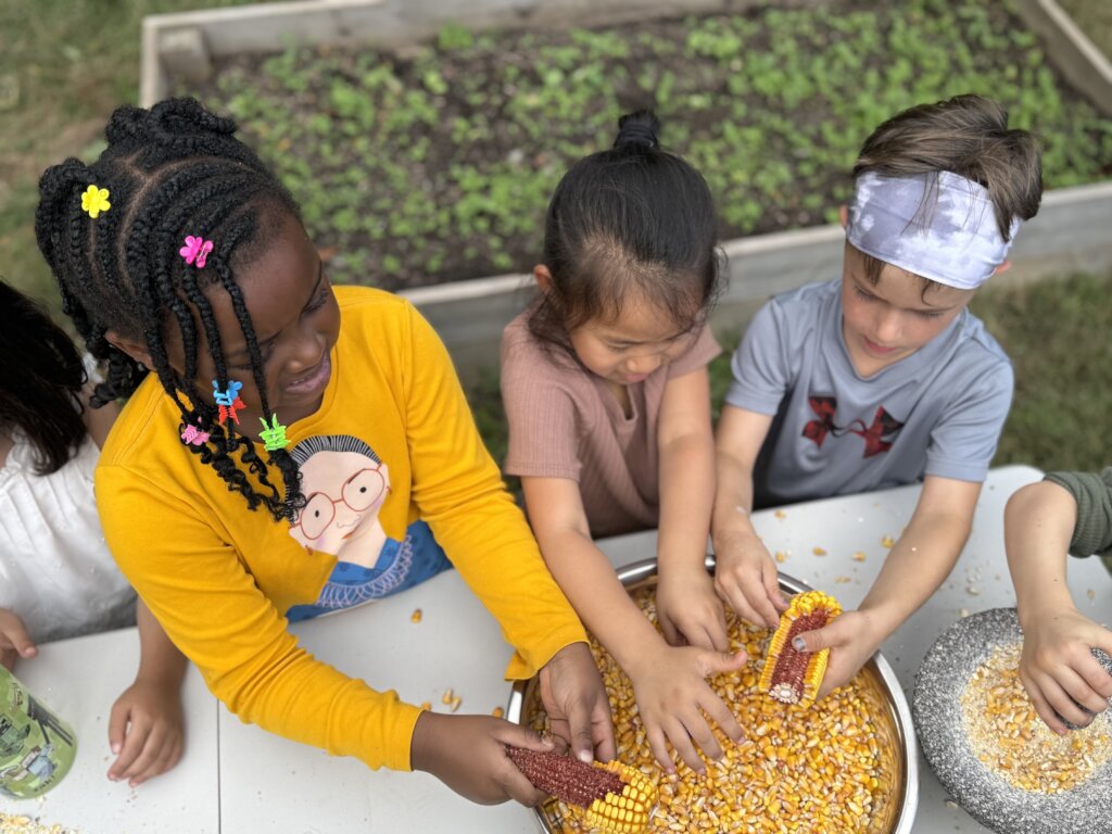 Cultivating Community in City Schoolyard Gardens