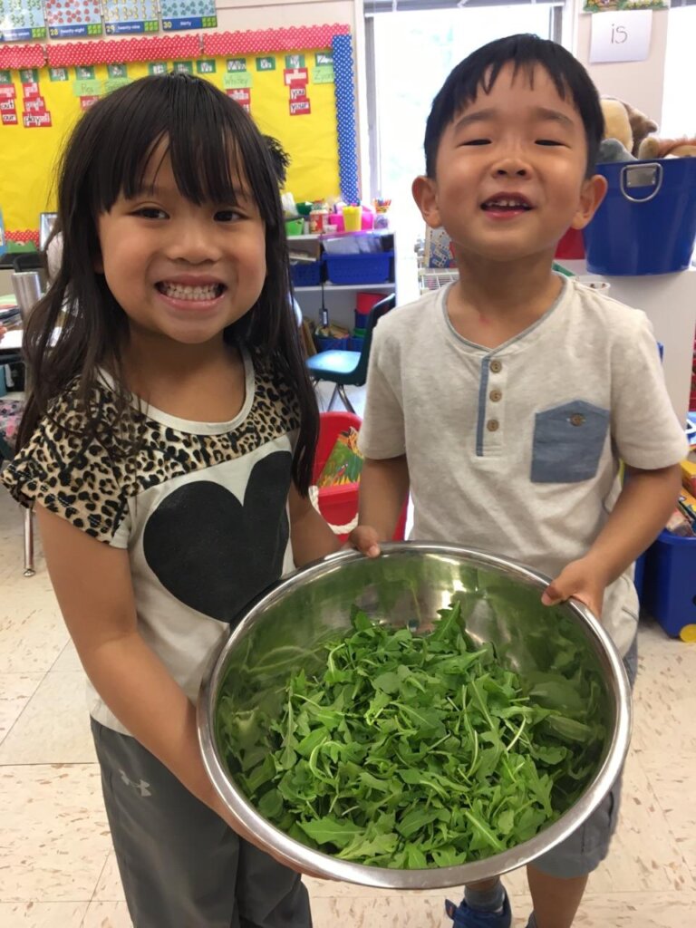 Cultivating Community in City Schoolyard Gardens