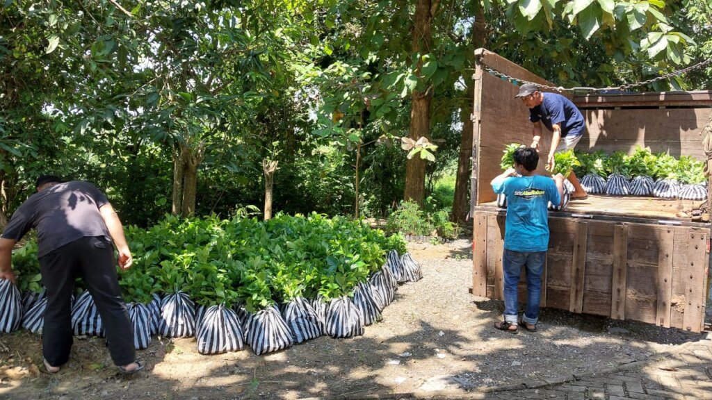 Seedlings for Forest Conservation in Indonesia